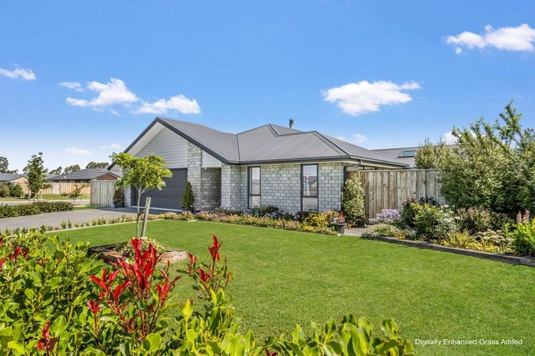 Photo of property in 1 Mary Place, Pyes Pa, Tauranga, 3112