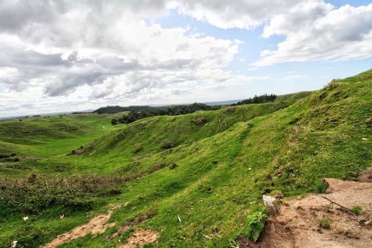 Photo of property in 31 Tarver Lane, Pikowai, Whakatane, 3194