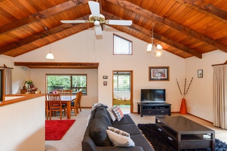 Photo of property in 22 Mcmeekan Avenue, Chartwell, Hamilton, 3210