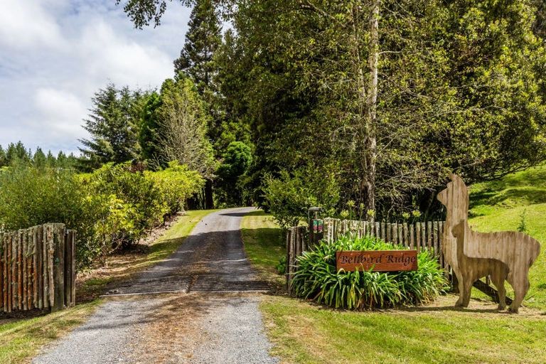 Photo of property in 68 Tangye Road, Oruanui, Taupo, 3384