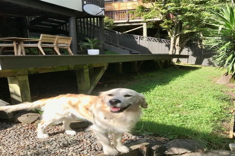 Photo of property in 5/19 Langana Avenue, Browns Bay, Auckland, 0630