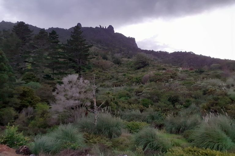 Photo of property in 16 Tiaho Place, Whangarei Heads, 0174