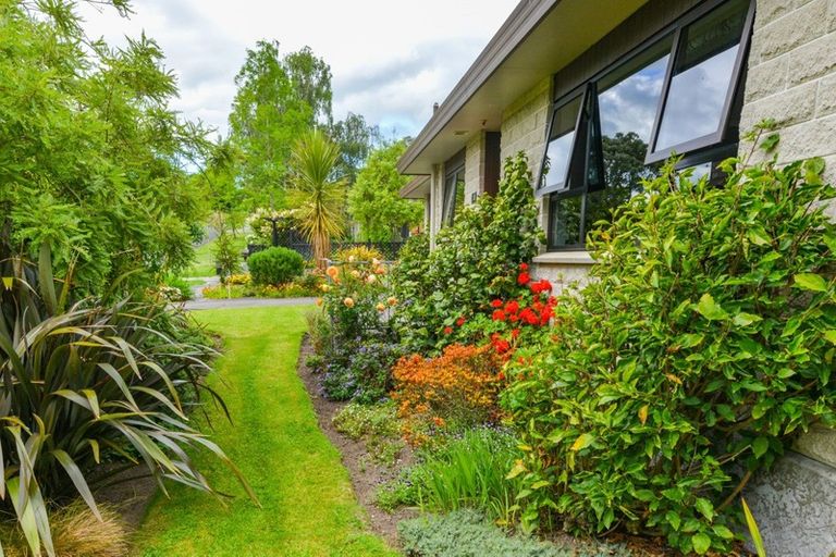 Photo of property in 52 James Cook Street, Havelock North, 4130