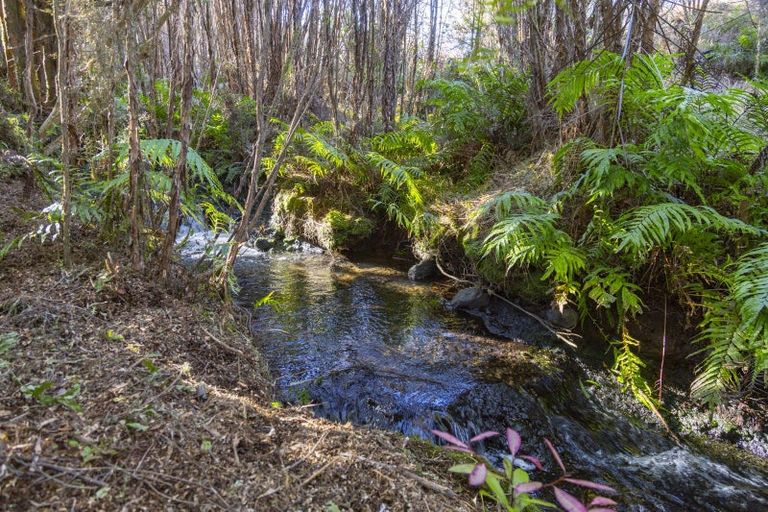 Photo of property in 7 Mead Lane, Horopito, Raetihi, 4696