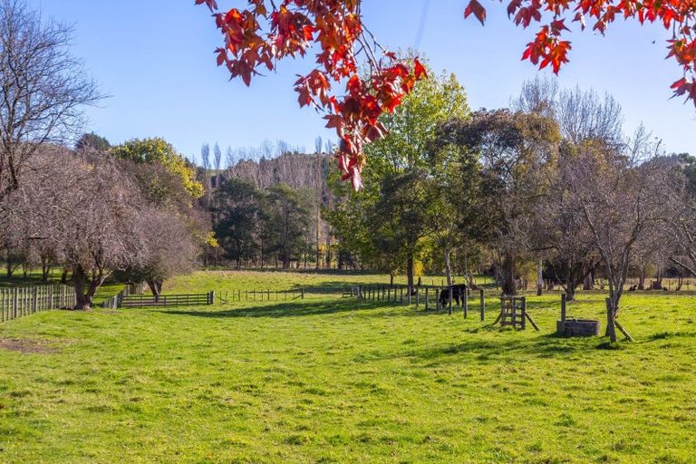 Photo of property in 1785 Martinborough Masterton Road, Longbush, Masterton, 5884