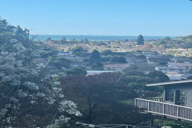 Photo of property in 25 Sowman Street, The Brook, Nelson, 7010