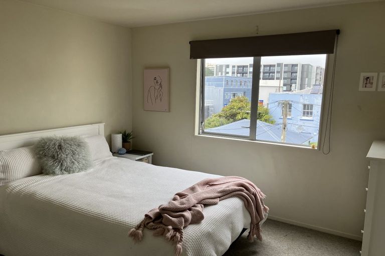 Photo of property in 11 Douglas Street, Mount Cook, Wellington, 6021