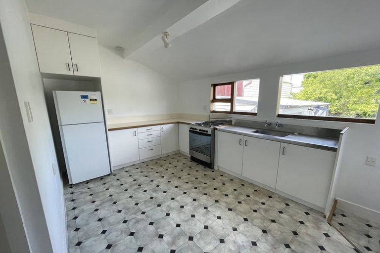 Photo of property in 113 Wallace Street, Mount Cook, Wellington, 6021