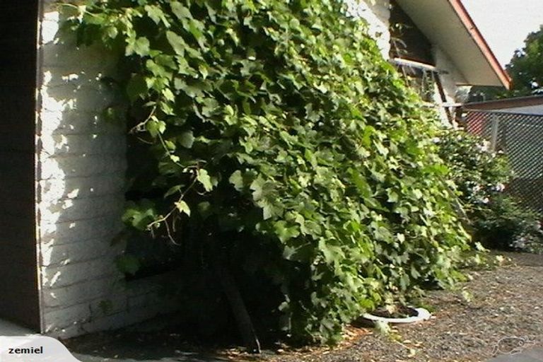 Photo of property in 56 Kawau Crescent, Bromley, Christchurch, 8062