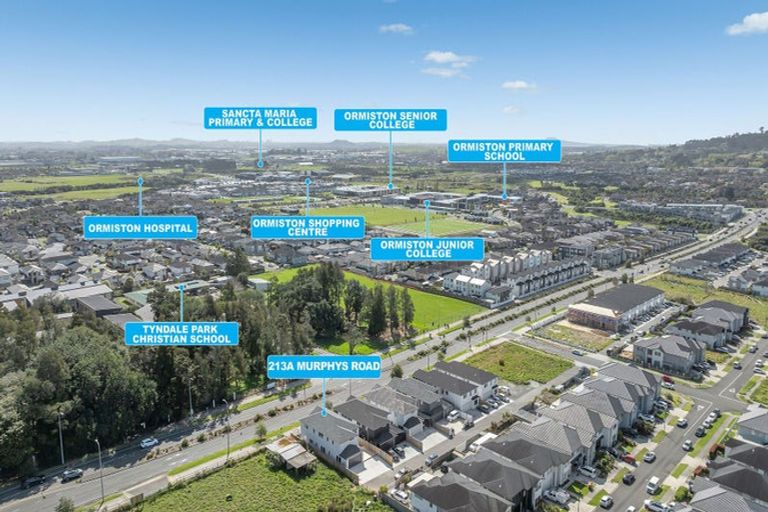 Photo of property in 213a Murphys Road, Flat Bush, Auckland, 2019