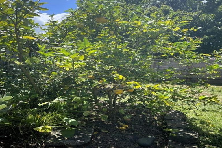 Photo of property in 10 Braestar Court, Henderson, Auckland, 0612