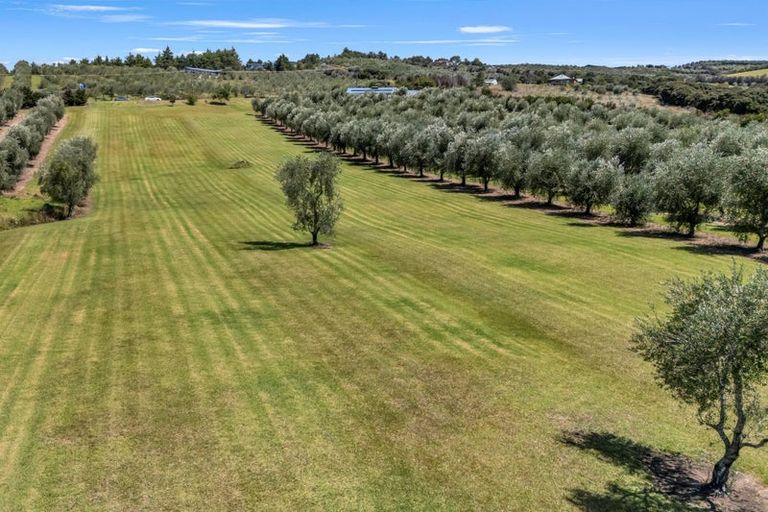 Photo of property in 79 Leccino Valley Road, Mangonui, 0494