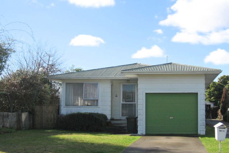 Photo of property in 803a Lane Street, Mahora, Hastings, 4120