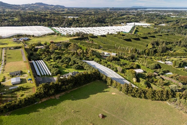 Photo of property in 241 Rea Road, Tahawai, Katikati, 3178