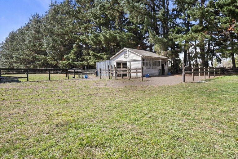 Photo of property in 273 Parewanui Road, Bulls, 4894