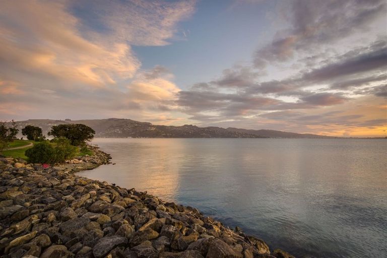 Photo of property in 10 Heron Street, Southshore, Christchurch, 8062