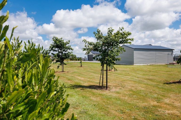 Photo of property in 455a Taonui Road, Colyton, Feilding, 4775