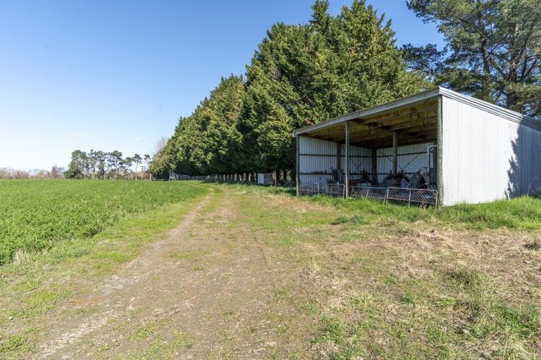 Photo of property in 360 Te Whiti Road, Homebush, Masterton, 5884