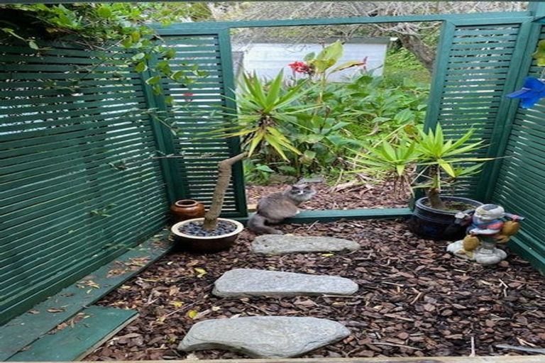 Photo of property in 38 Yarborough Street, Kohukohu, 0491