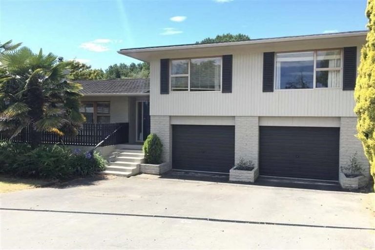 Photo of property in 21 Mchardy Street, Havelock North, 4130