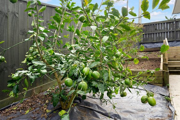 Photo of property in 124a Golf Road, New Lynn, Auckland, 0600