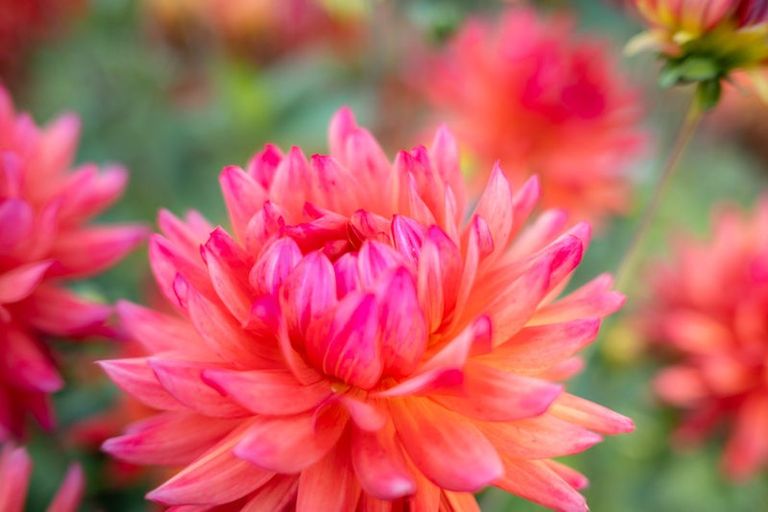 Photo of property in 29a Golf Vue Place, Castlecliff, Whanganui, 4501