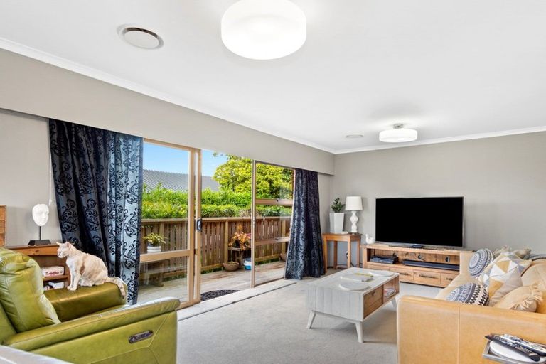 Photo of property in 61a Brookfield Terrace, Brookfield, Tauranga, 3110