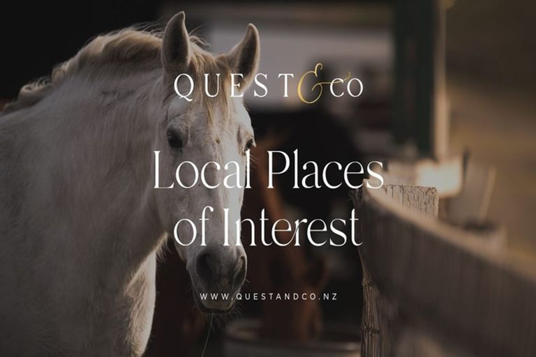 Photo of property in 388 Pine Valley Road, Dairy Flat, Silverdale, 0992