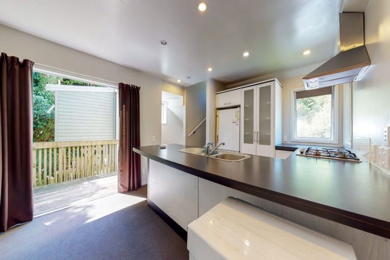 Photo of property in 100a Holloway Road, Aro Valley, Wellington, 6021
