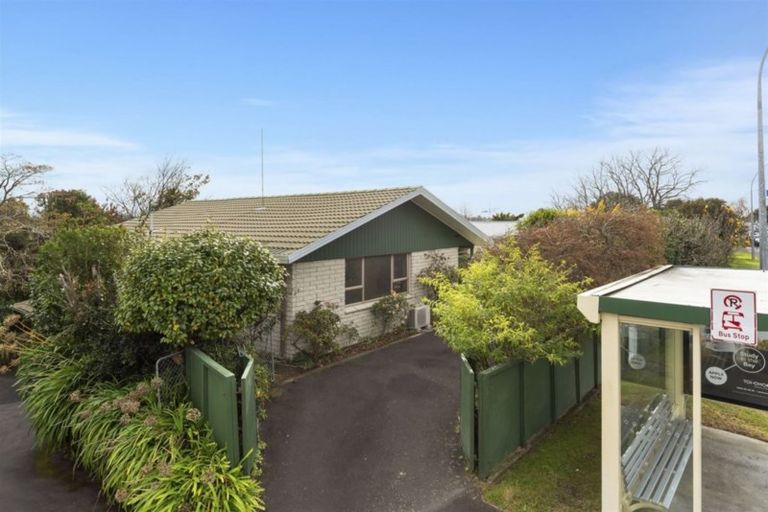 Photo of property in 1209 Cameron Road, Gate Pa, Tauranga, 3112