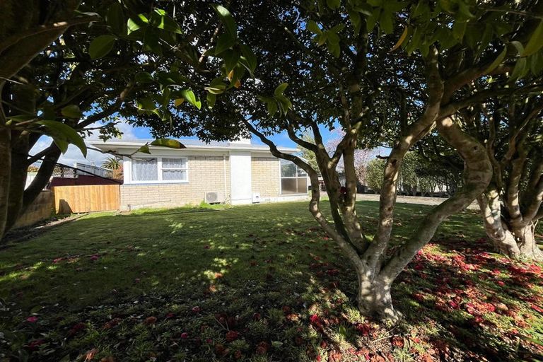Photo of property in 4 Cargill Street, Levin, 5510