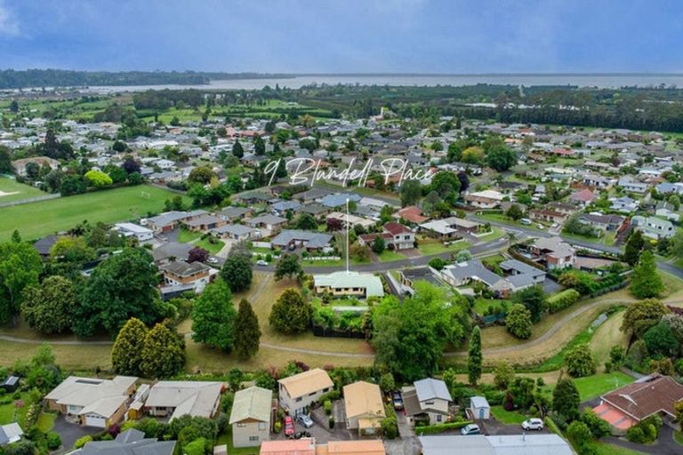 Photo of property in 9 Blundell Place, Katikati, 3129