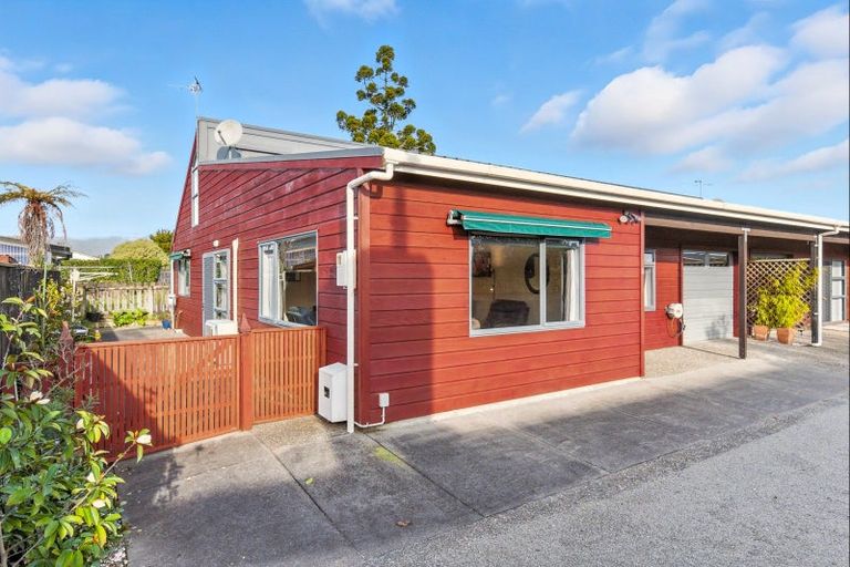 Photo of property in 41a Keepa Street, Levin, 5510