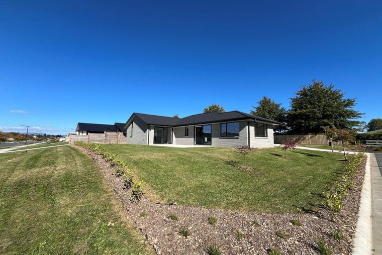Photo of property in 13 Hinerangi Crescent, Matamata, 3400