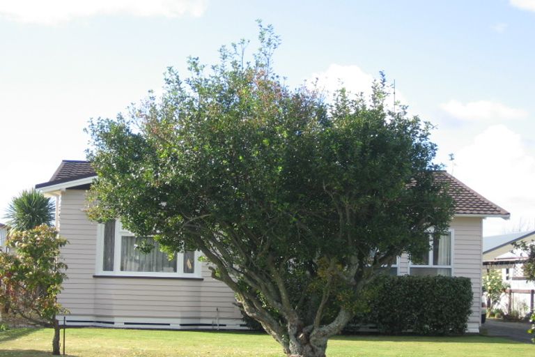 Photo of property in 907a Fitzroy Avenue, Mahora, Hastings, 4120