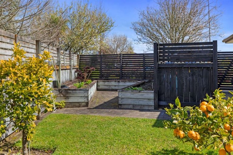 Photo of property in 91 Lakes Boulevard, Pyes Pa, Tauranga, 3112
