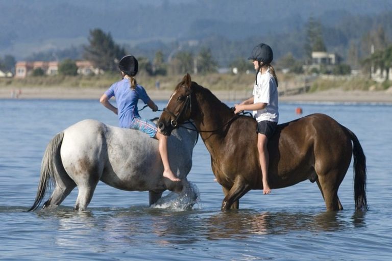 Photo of property in 193 Buffalo Beach Sh25 Road, Whitianga, 3592
