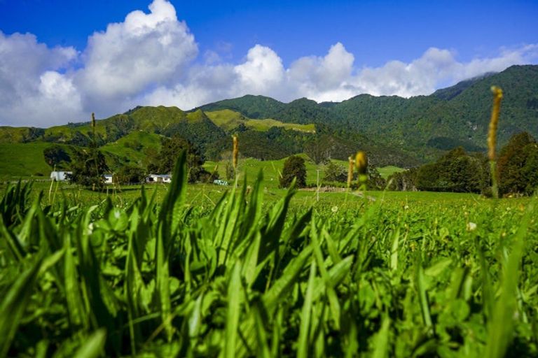 Photo of property in 5196b State Highway 26, Te Aroha, 3392