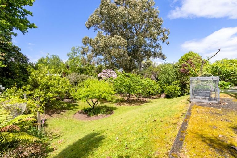 Photo of property in 63 Henry Hill Road, Taupo, 3330