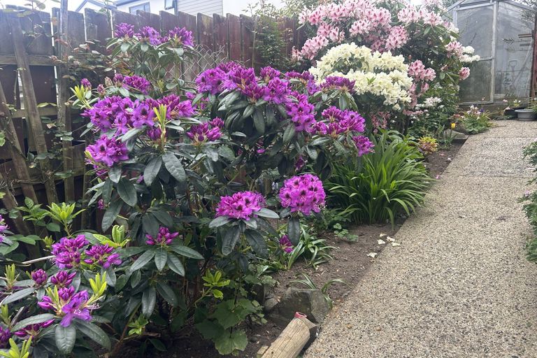 Photo of property in 8a Norman Street, Tainui, Dunedin, 9013