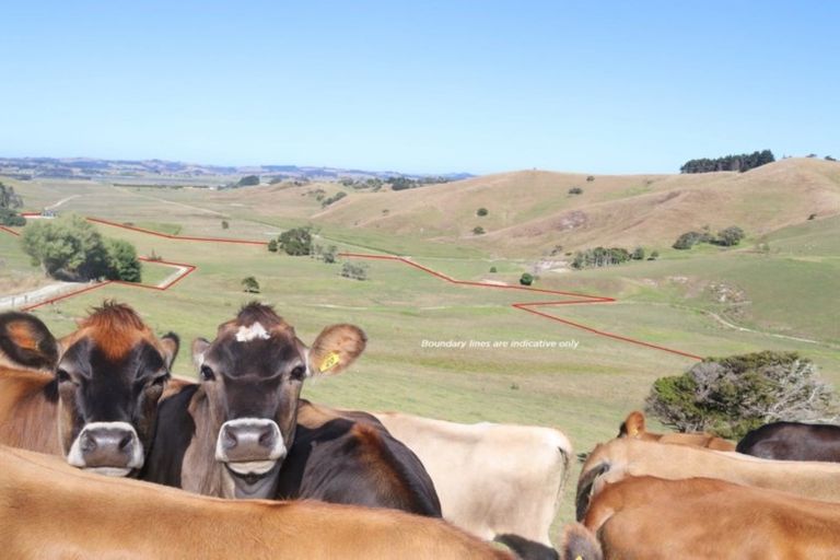 Photo of property in 182 Morrison Road, Arapohue, Dargaville, 0374