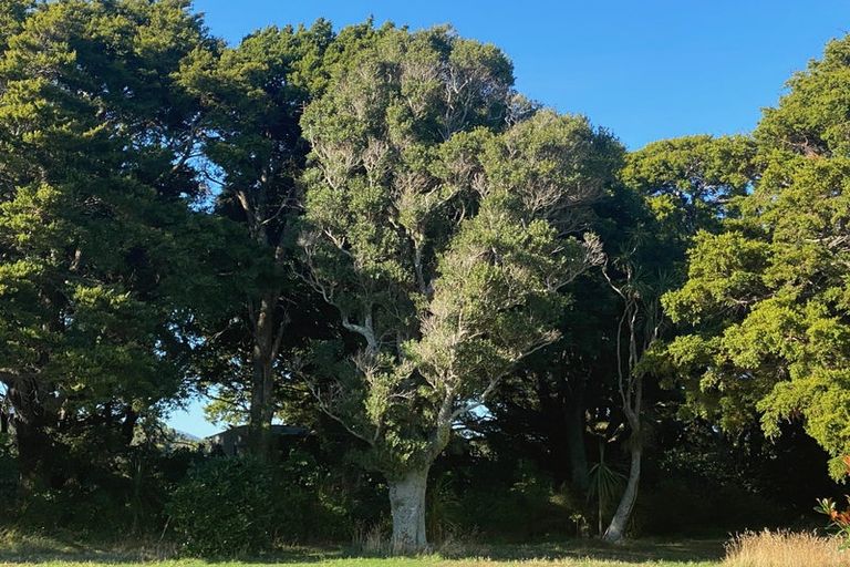 Photo of property in 194 Underhill Road, Woodside, Greytown, 5794