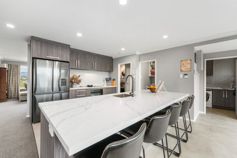 Photo of property in 123 Dittmer Drive, West End, Palmerston North, 4412