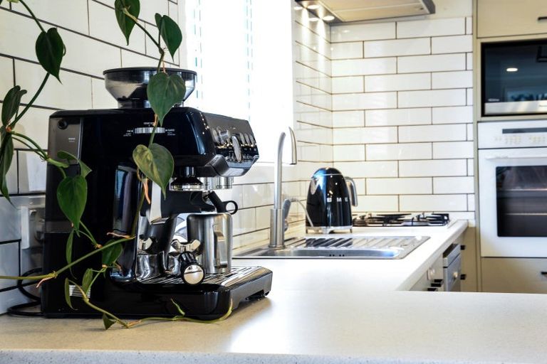 Photo of property in 20a Galloway Street, Hamilton East, Hamilton, 3216