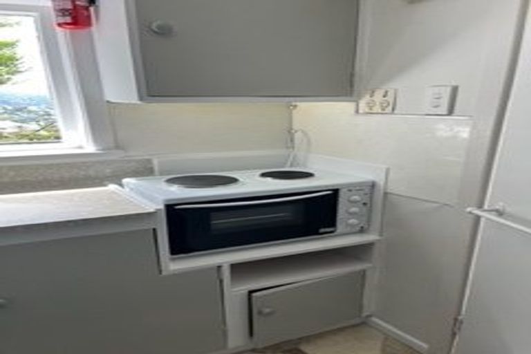 Photo of property in 45 Apuka Street, Brooklyn, Wellington, 6021