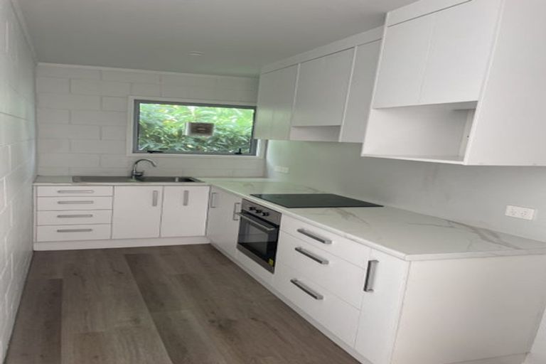 Photo of property in 29 Te Aroha Street, Hamilton East, Hamilton, 3216