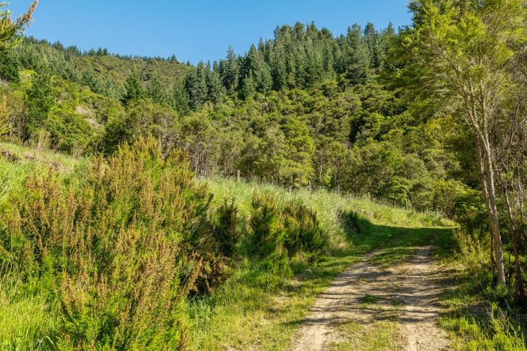 Photo of property in 793 Waikakaho Road, Tuamarina, Blenheim, 7273