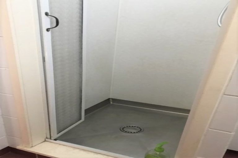 Photo of property in 16 Saxton Street, Levin, 5510