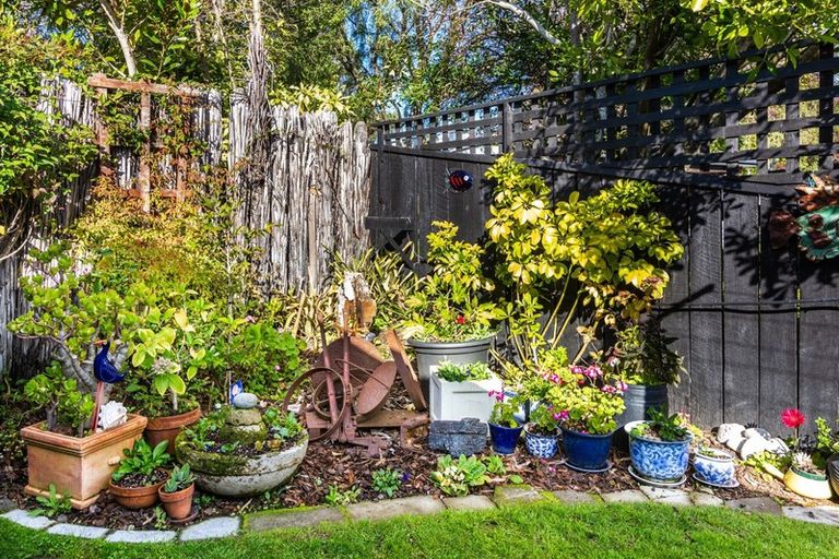 Photo of property in 1/4 Haines Grove, Rainbow Point, Taupo, 3330