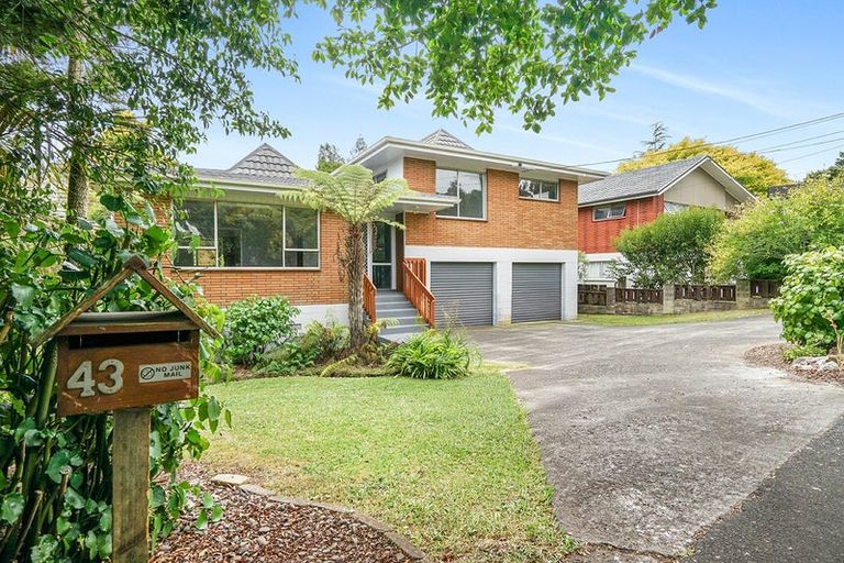 Photo of property in 43 Edinburgh Road, Hillcrest, Hamilton, 3216